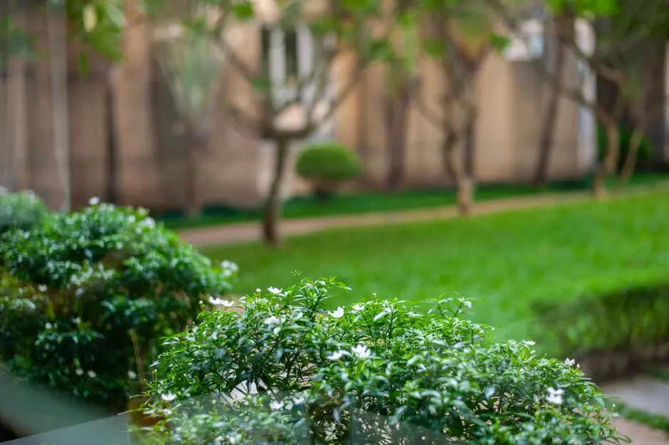 Greens & Outdoors at ADANI TEN BKC, Kala Nagar, Bandra East, Mumbai