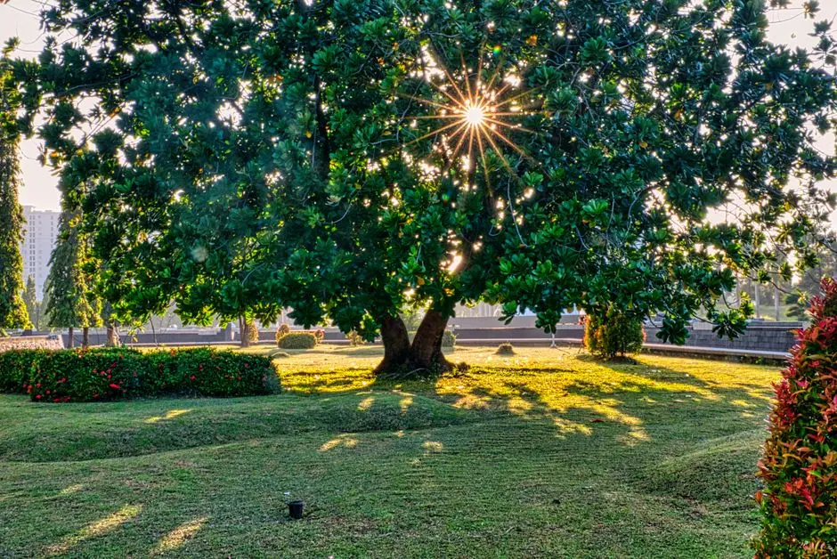 Greens & Outdoors at ADANI CARMICHAEL ROAD, Malabar Hill, Mumbai