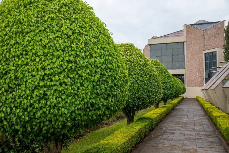 Greens & Outdoors at ADANI THE NORTH PARK, Shantigram, Ahmedabad