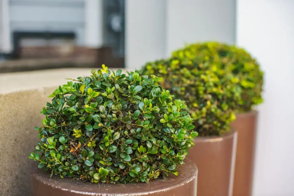 Greens & Outdoors at ADANI BELROSA, Shantigram, Ahmedabad