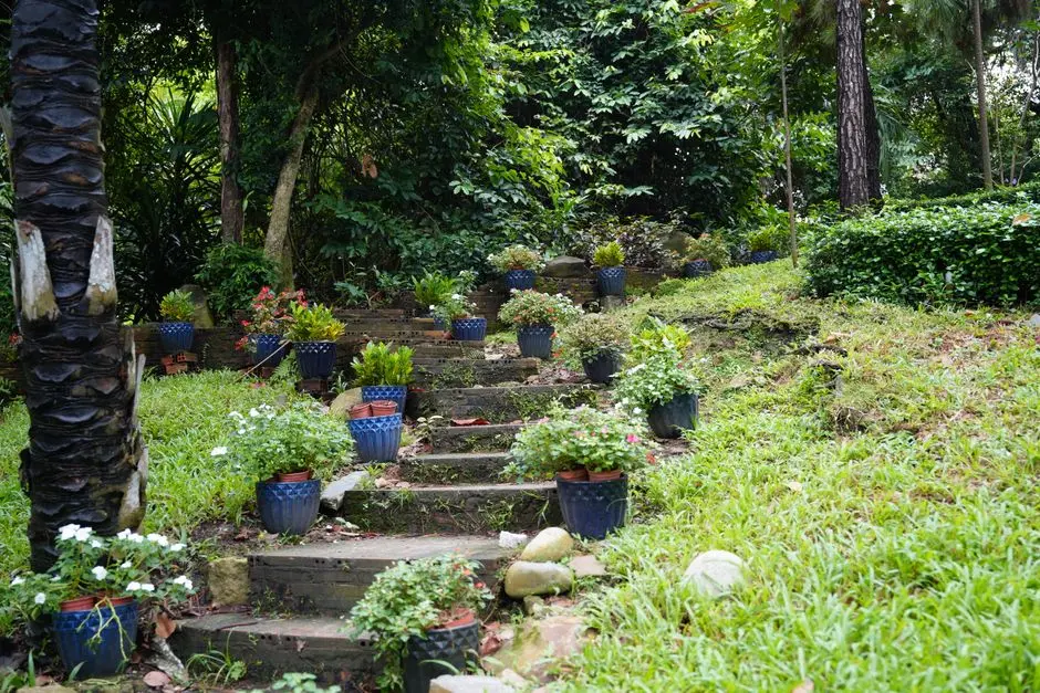 Greens & Outdoors at ADANI VERIS, Gwal Pahari, Gurgaon