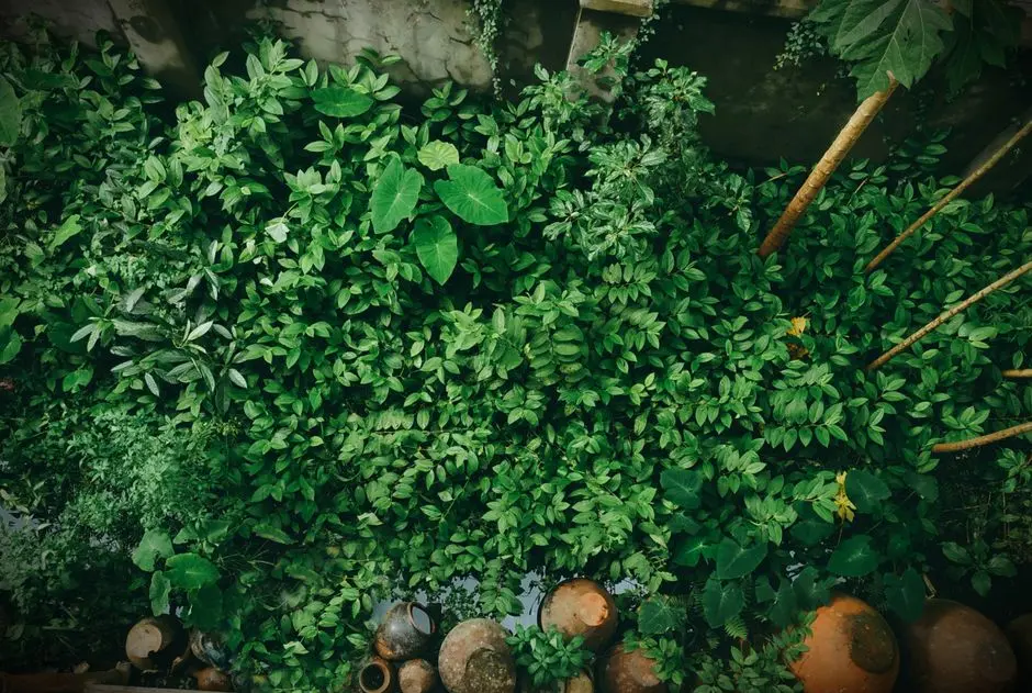 Greens & Outdoors at ADANI AANGAN GALLERIA, Sector 89A, Gurgaon
