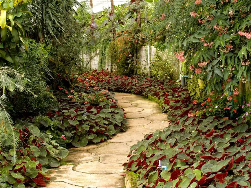 Greens & Outdoors at ADANI AANGAN ARCADE, Sector 88A, Gurgaon