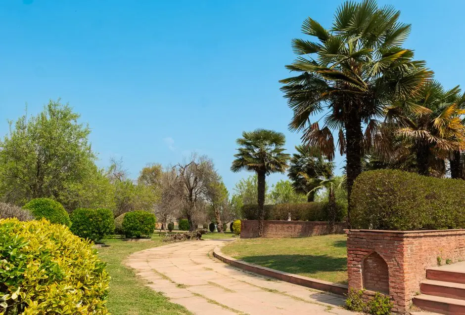 Greens & Outdoors at ADANI AANGAN, Sector 88A & 89A, Gurgaon