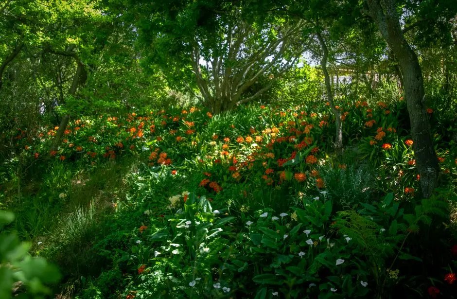 Greens & Outdoors at ADANI TATVA ESTATES, Sector 99A, Gurgaon