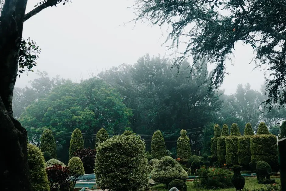 Greens & Outdoors at ADANI 102, Sector 102, Gurgaon