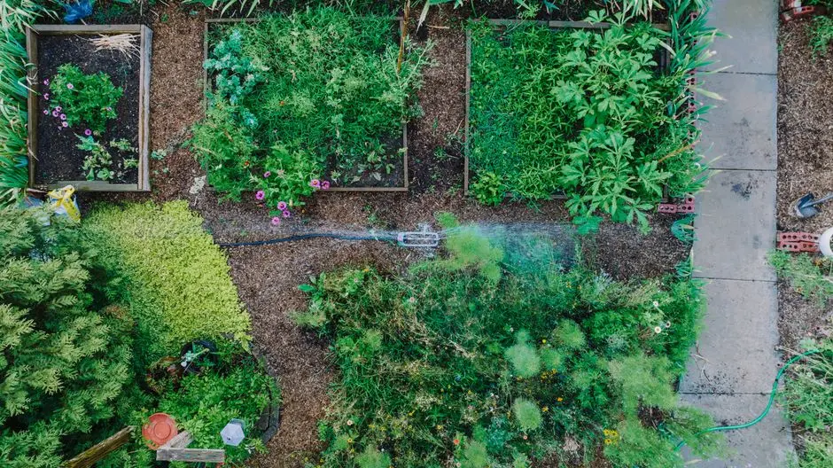 Greens & Outdoors at ADANI BAPUNAGAR, Ahmedabad