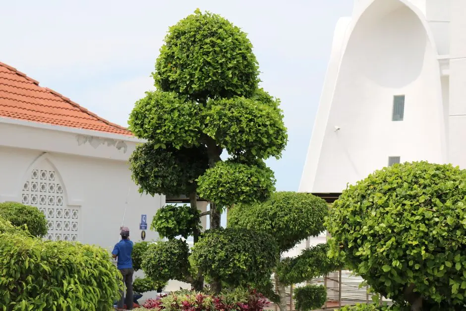 Greens & Outdoors at ADANI MOTILAL NAGAR, Motilal Nagar, Goregaon West, Mumbai